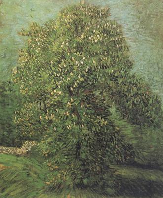 Vincent Van Gogh Chestnut Tree in Blosson (nn04)